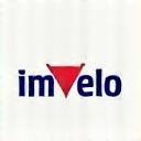 Imvelo Holdings Logo